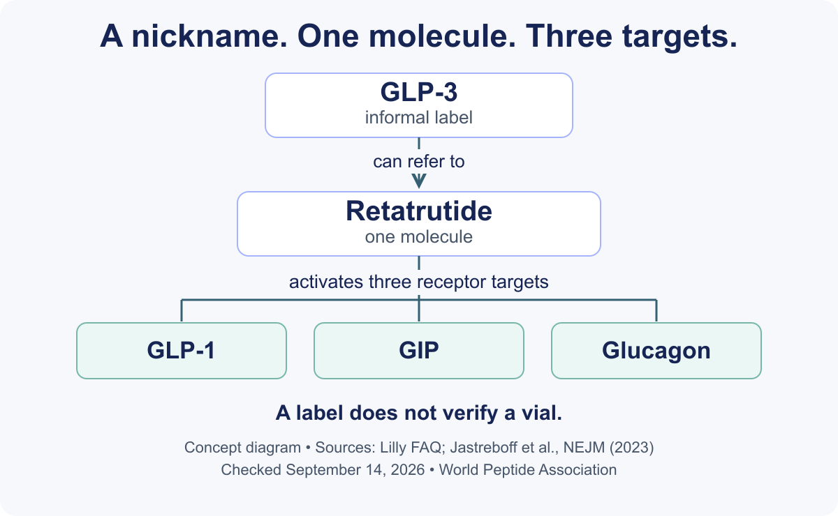 GLP-3 is an informal label that can refer to retatrutide, one molecule that activates GLP-1, GIP and glucagon receptors. A label does not verify a vial.
